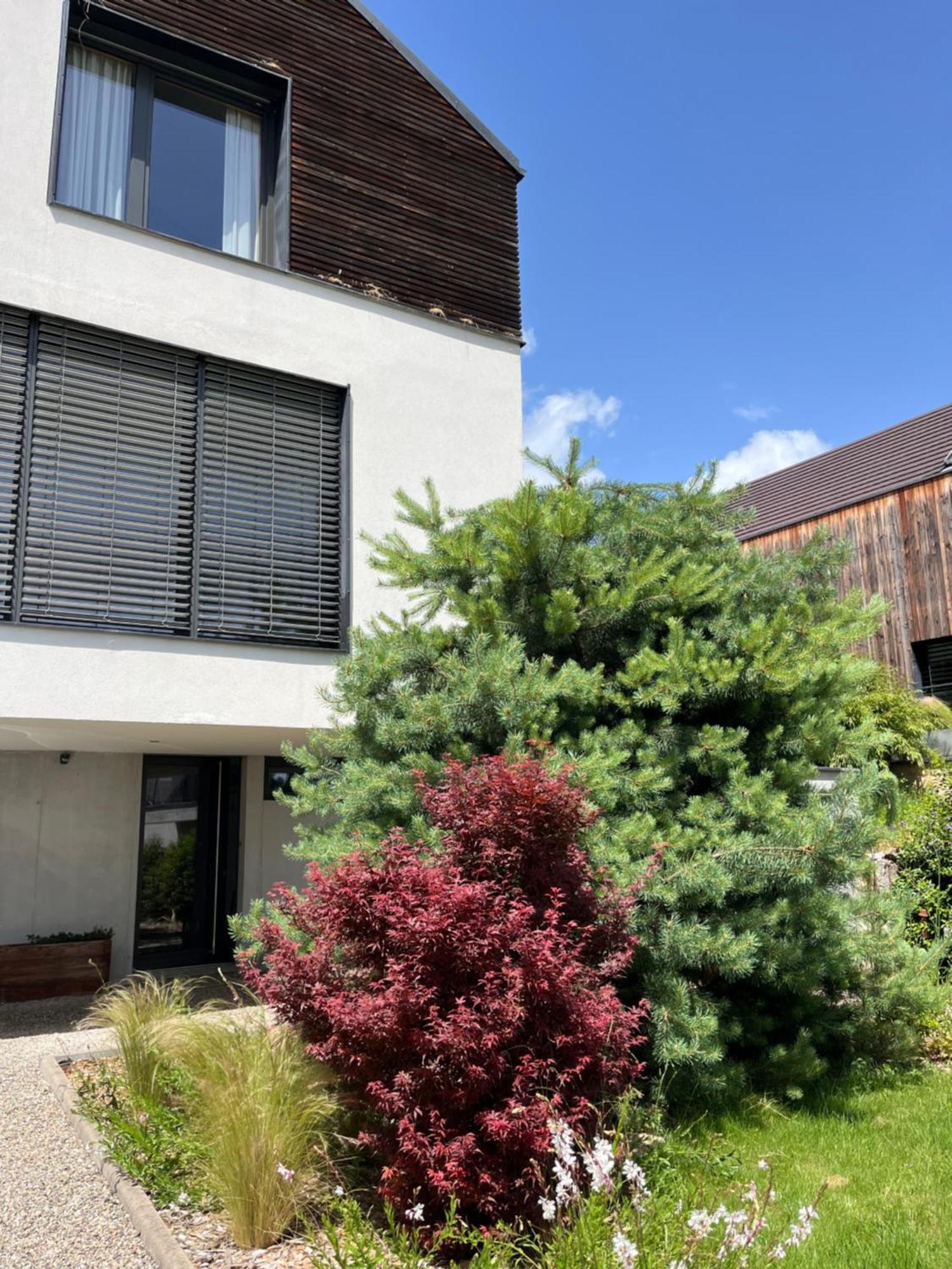 Chambre Double 2 P Luxe Aux Vignes Lovees, Entree Independante Riquewihr Exterior photo